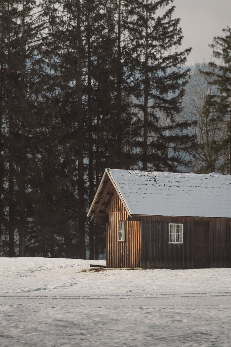 Snowy Escapes
