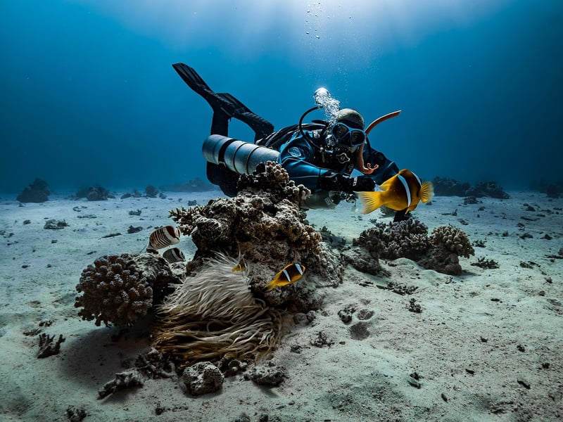 Diving Mask